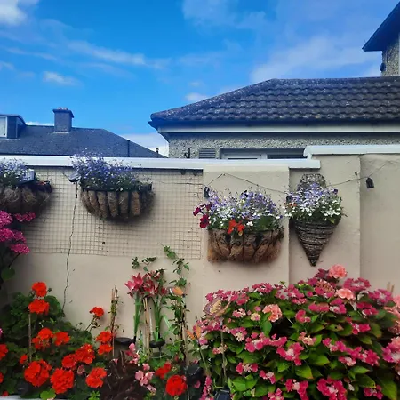 Private Double Near Heuston Luas & Direct Airport Bus Link
